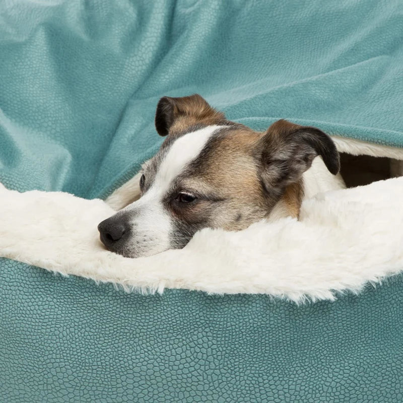 coussin ovale chien