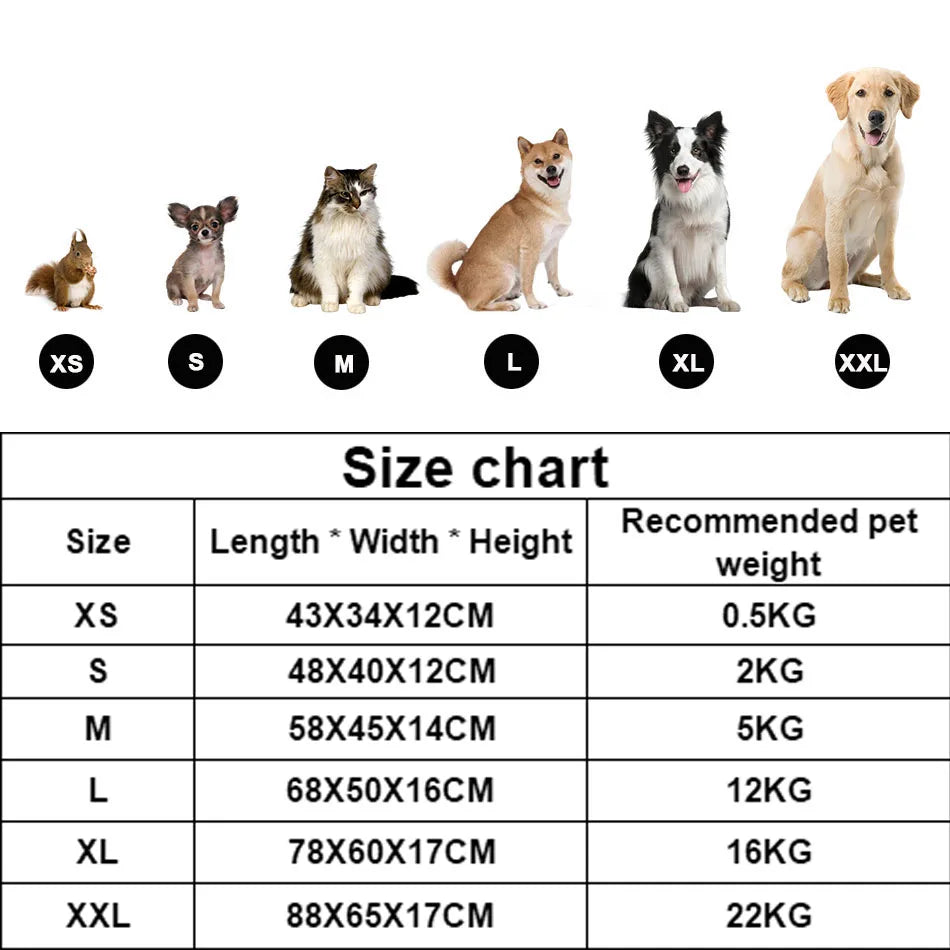 coussin detente chien