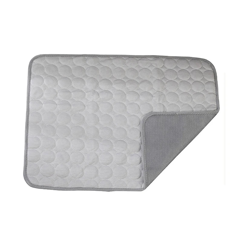 coussin de sol chien