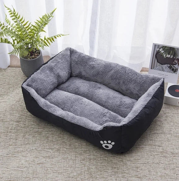 coussin chien gris