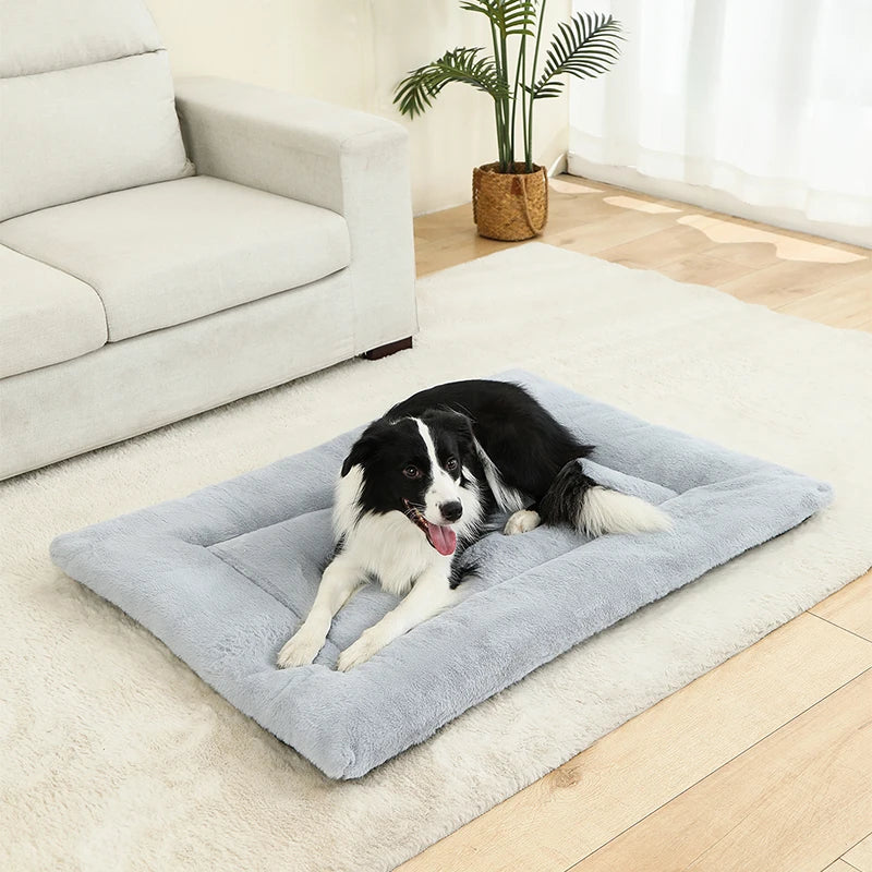 coussin pour chien resistant