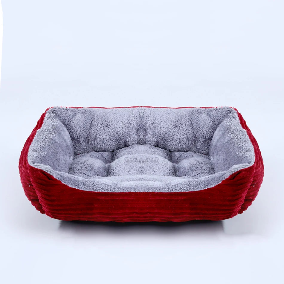 coussin hiver chien