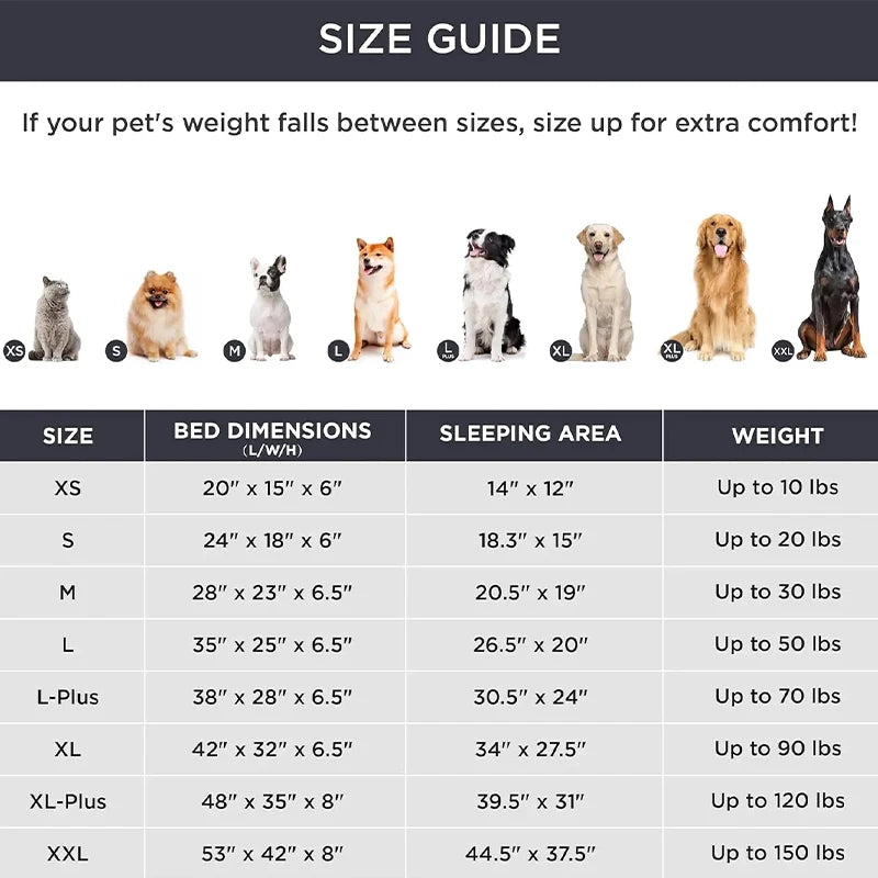 coussin pour cage de transport chien