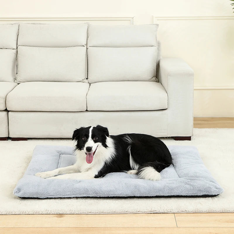 coussin pour chien resistant