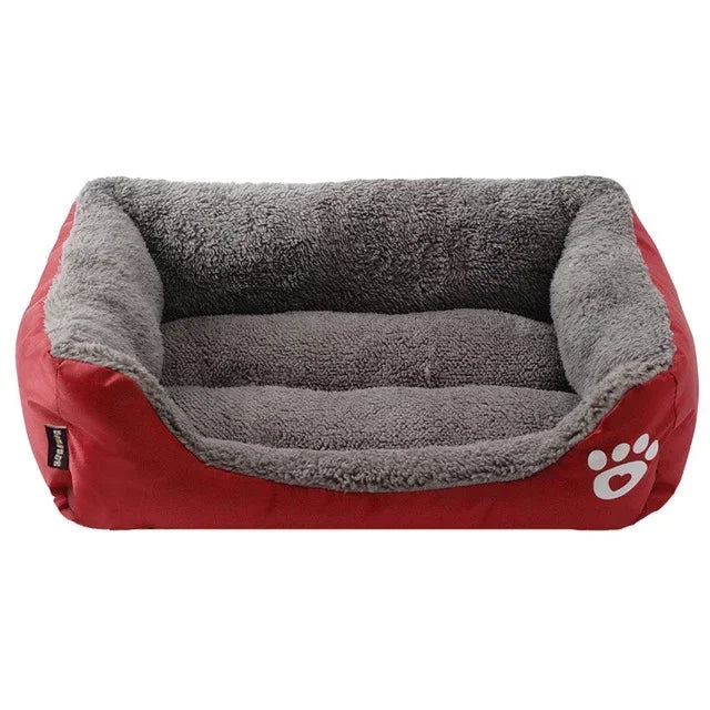 coussin mordant chien