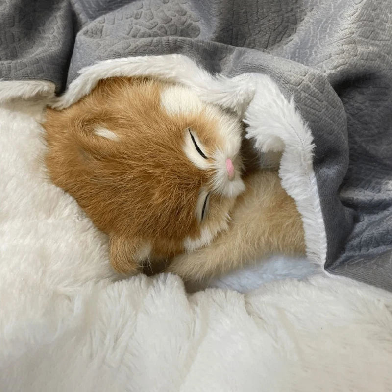 coussin douillet chien