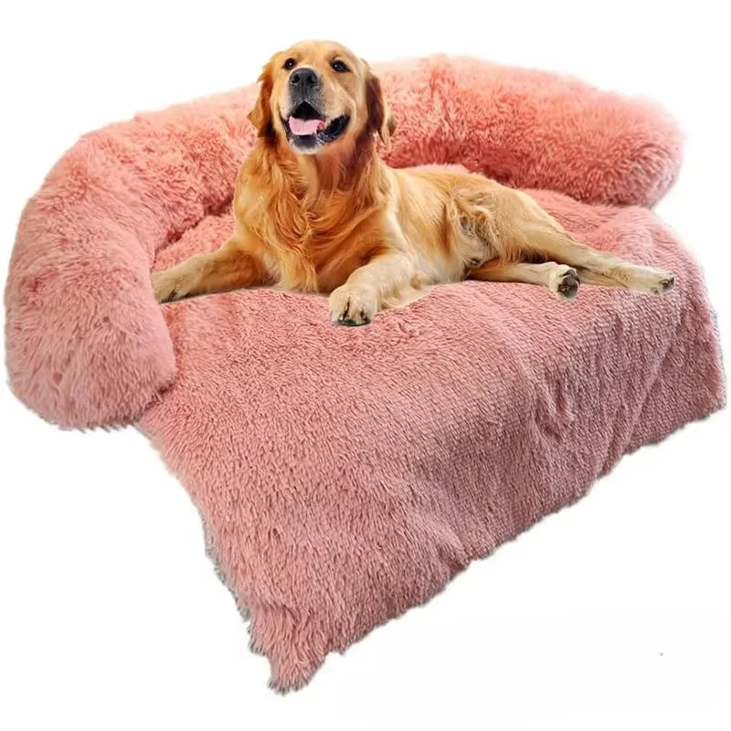coussin chien berger australien
