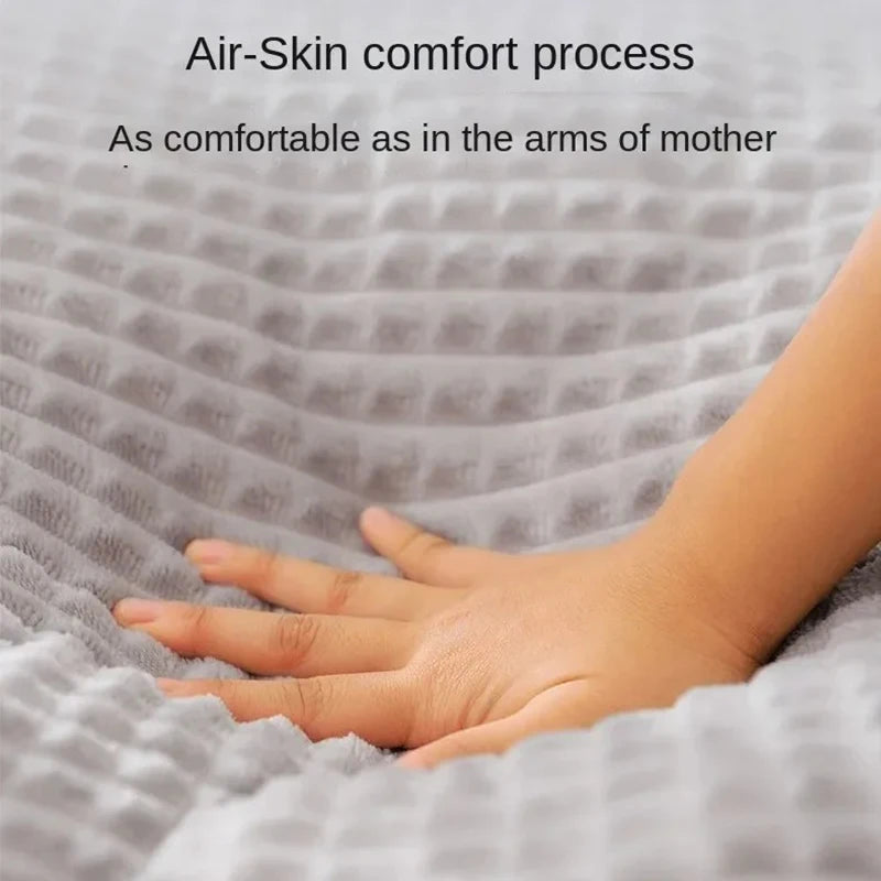 coussin chien dehoussable