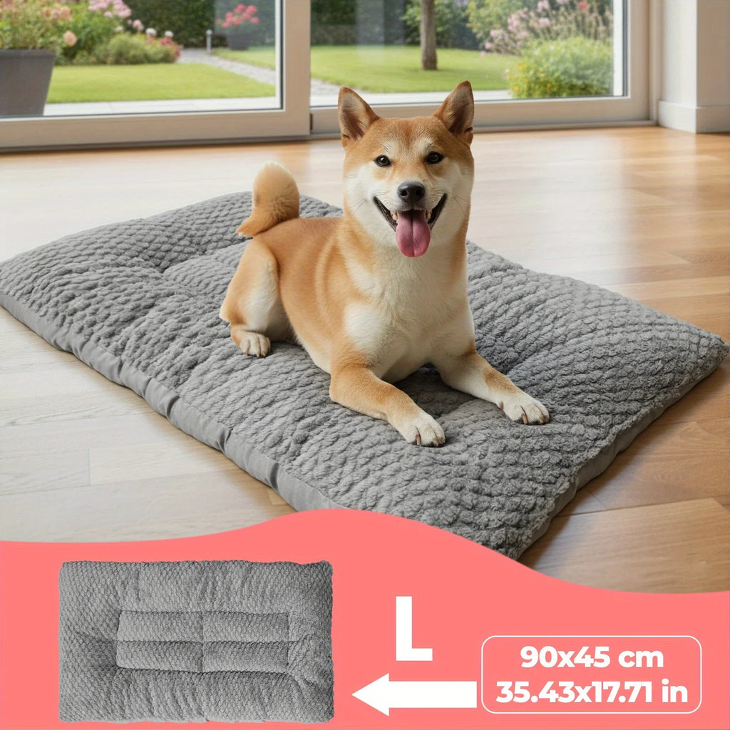canape coussin chien