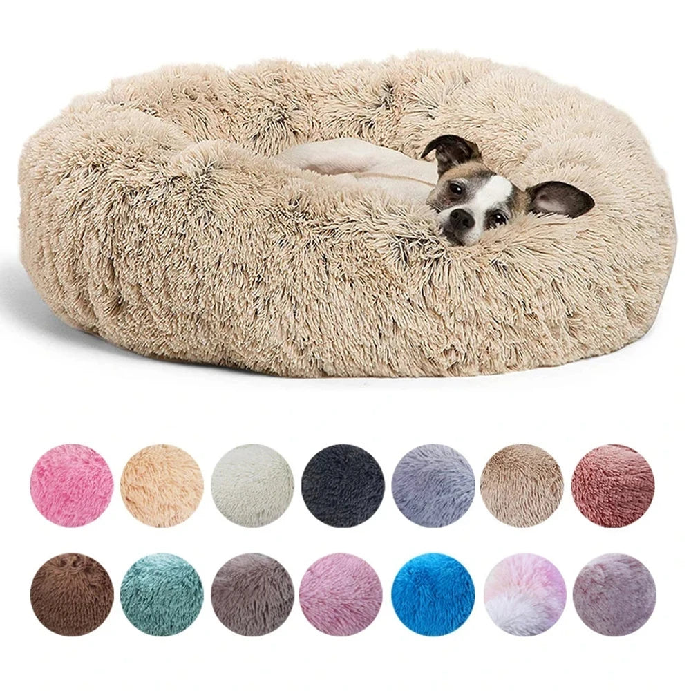 coussin pour chien douillet