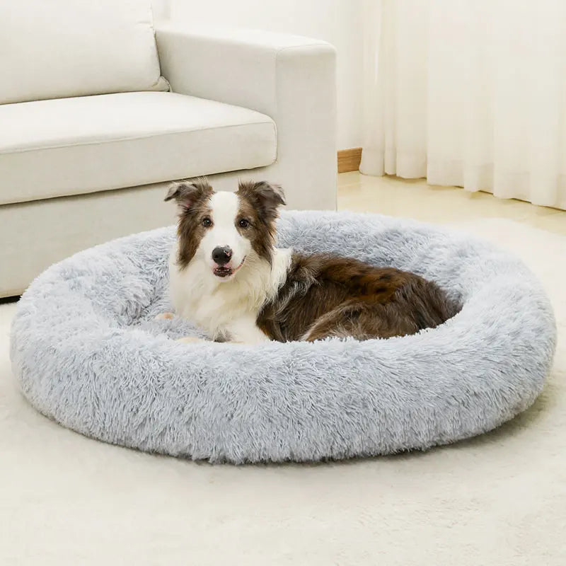 coussin chien lavable machine