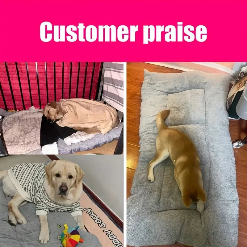 coussin memoire de forme chien