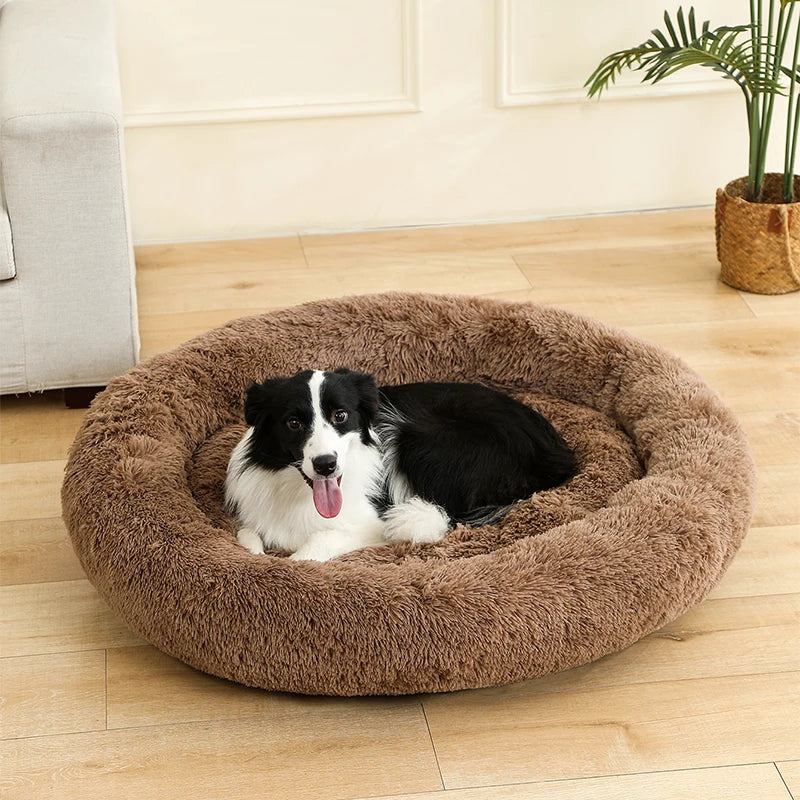 coussin chien lavable machine