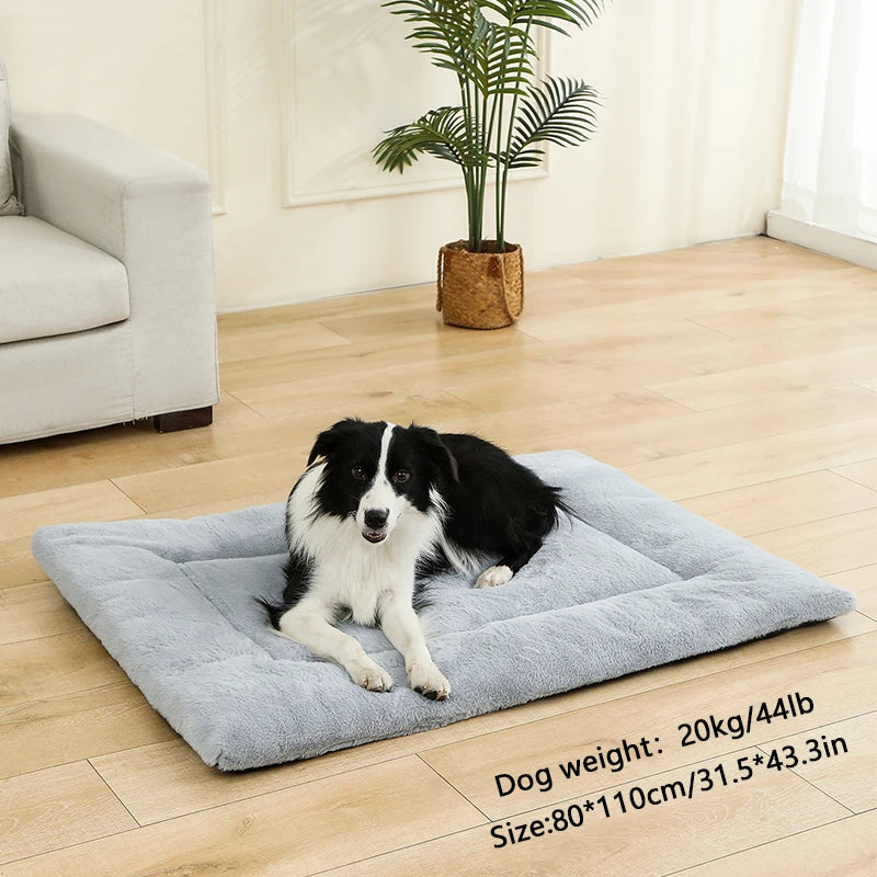 coussin pour chien resistant