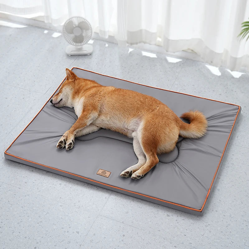 coussin pour chien confortable