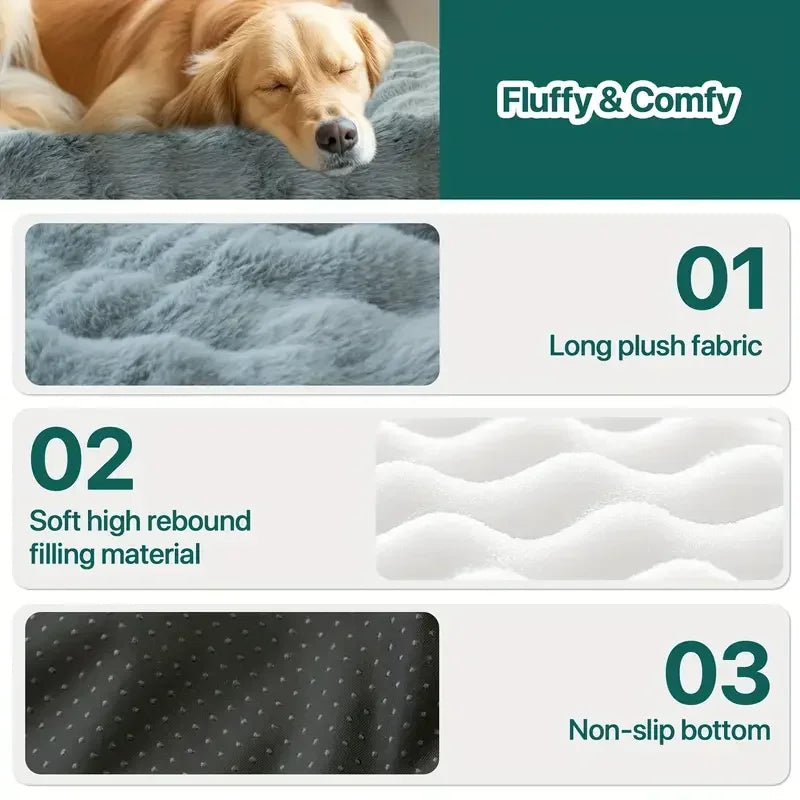 coussin de canapé pour chien