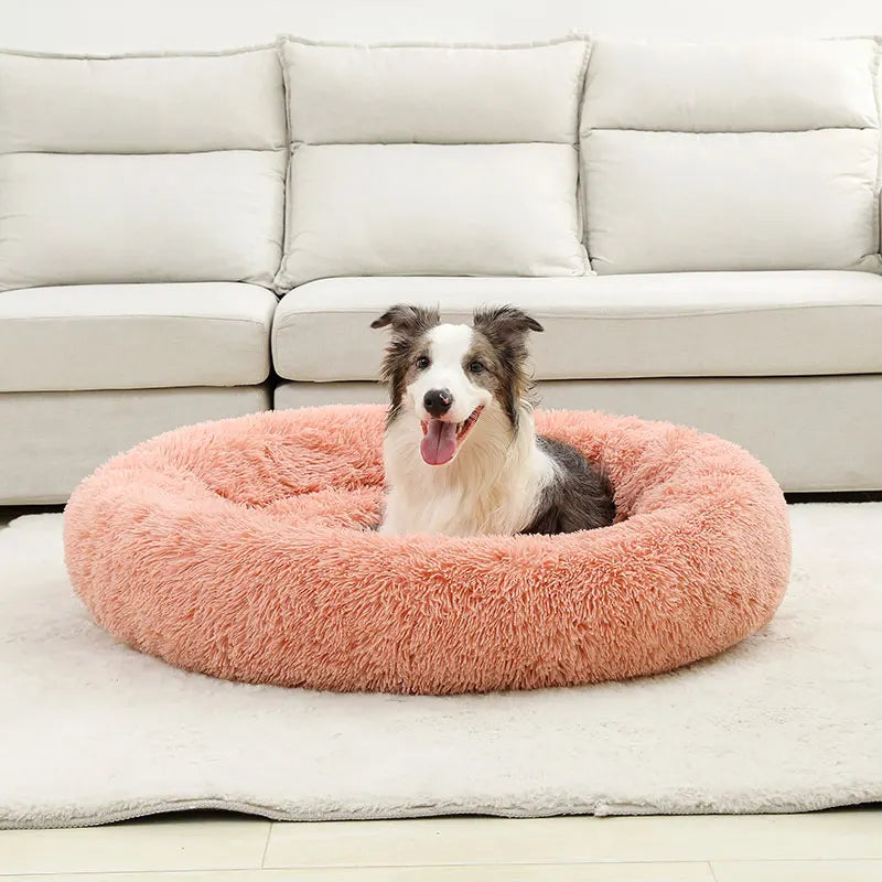 coussin pour chien avec couverture