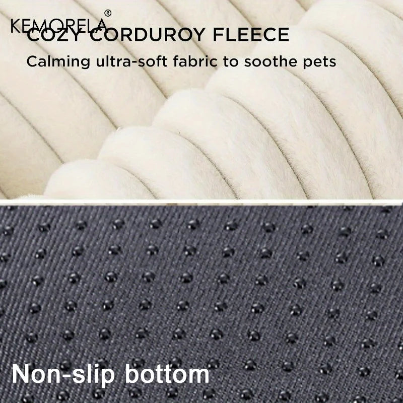 coussin chien design