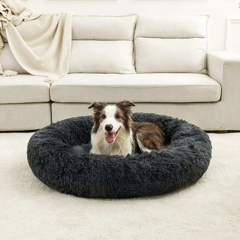 coussin pour chien avec couverture