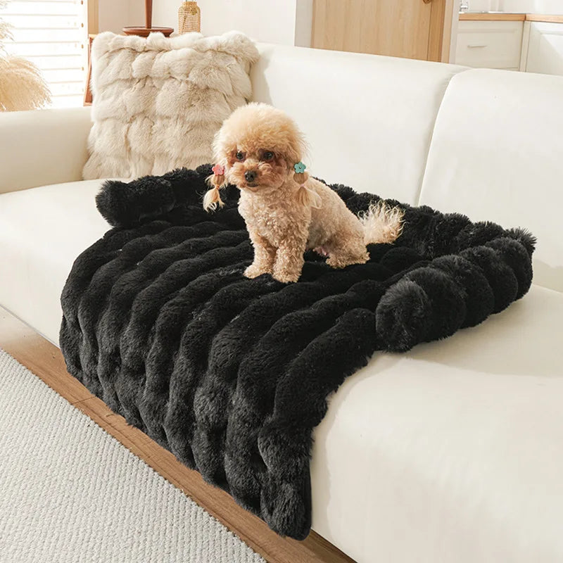 coussin de canapé pour chien