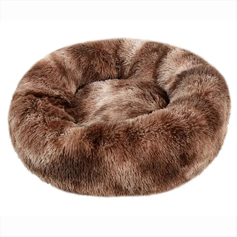Coussin chien rond moelleux chaud chiens chats