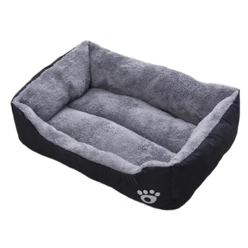 coussin chien gris
