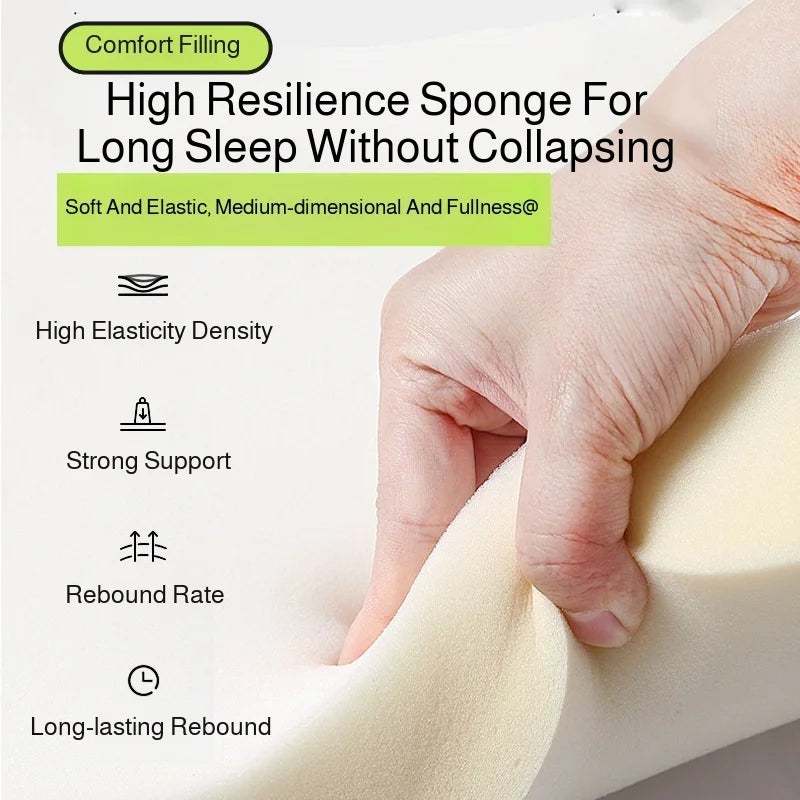 coussin escalier chien