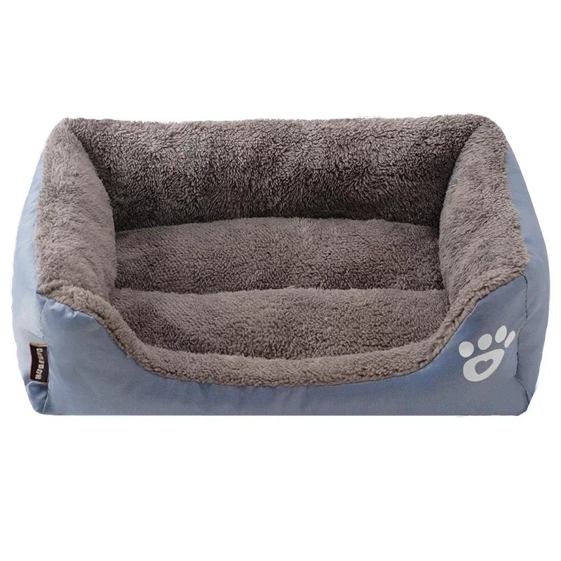 coussin mordant chien
