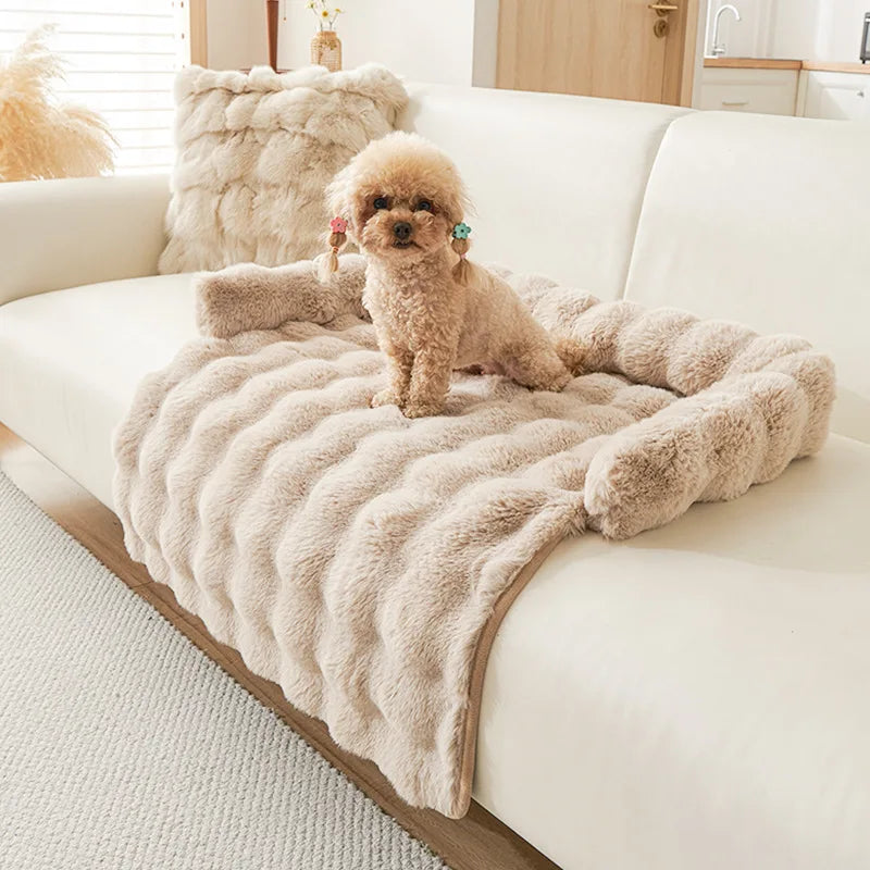 coussin de canapé pour chien