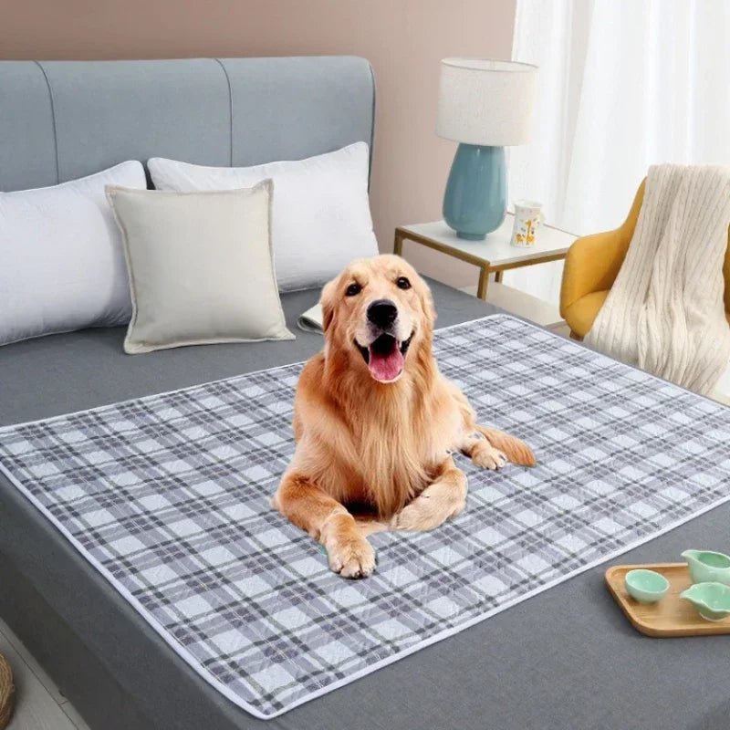 coussin voiture chien