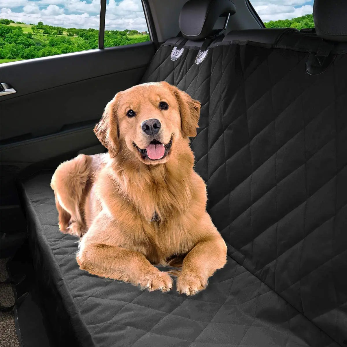 coussin grand chien pour voiture