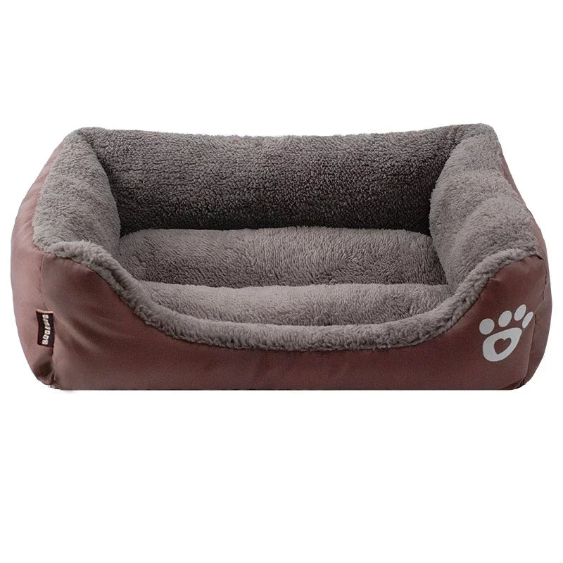 coussin mordant chien
