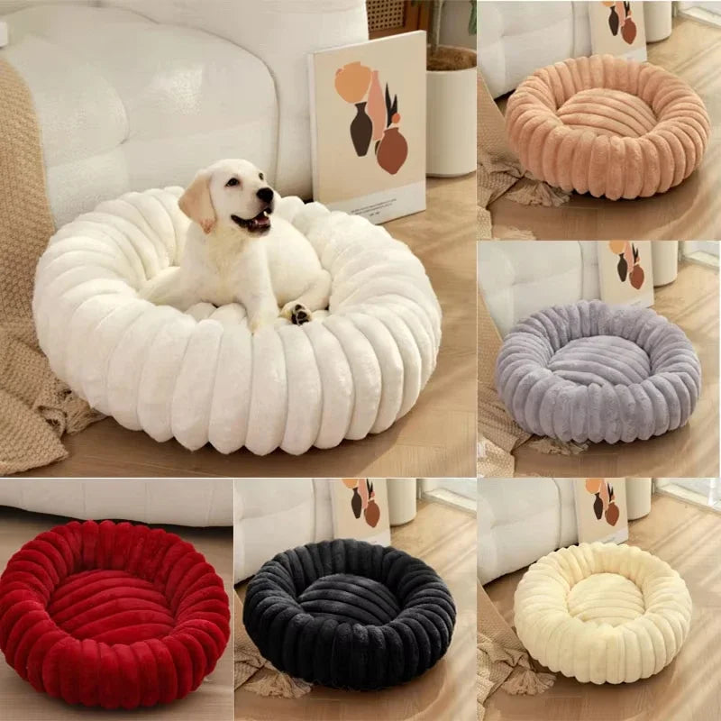 coussin arthrose chien