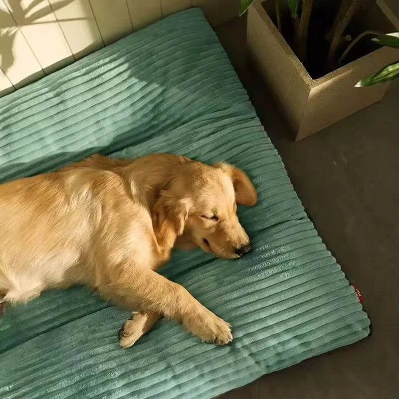 grand coussin pour chien