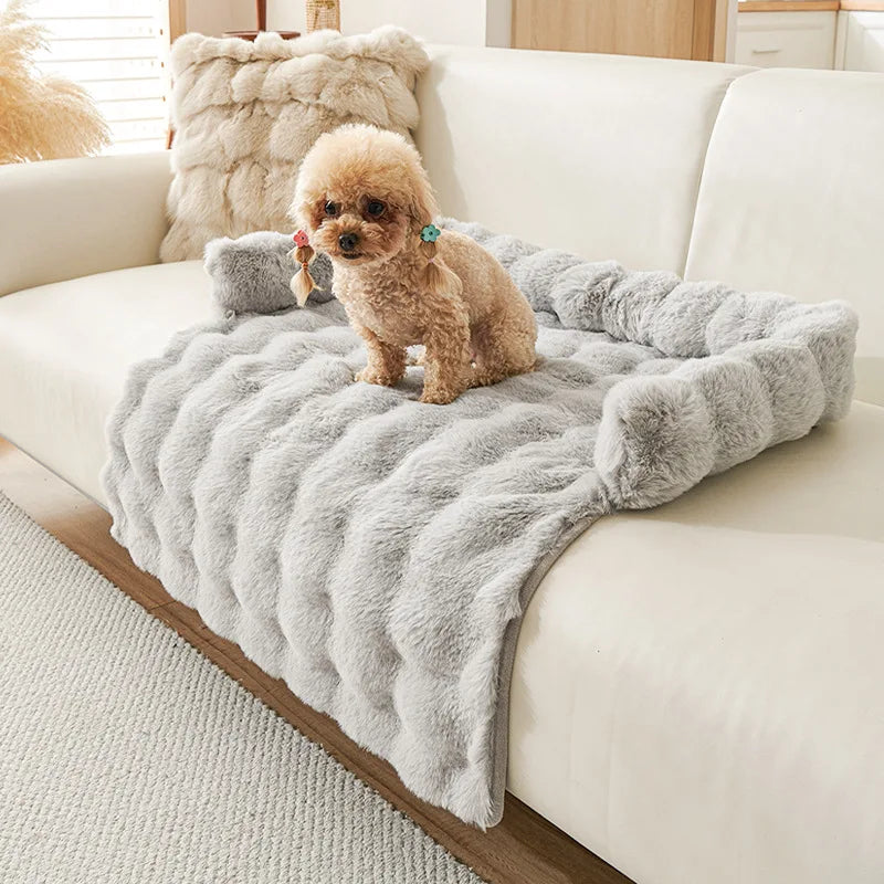 coussin sofa pour chien