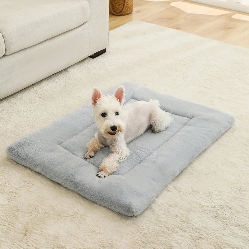 coussin pour chien resistant