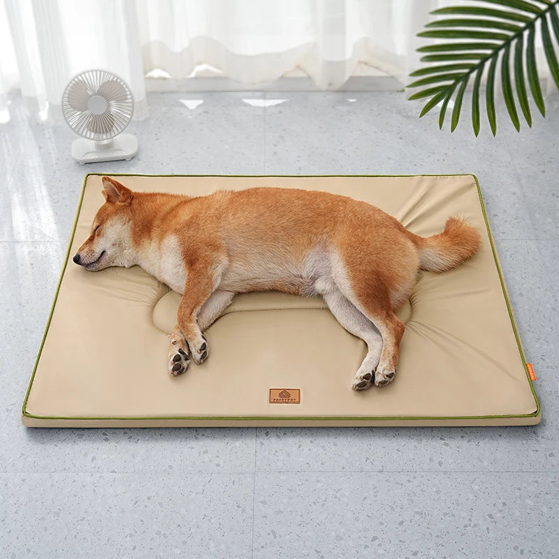 coussin pour chien confortable